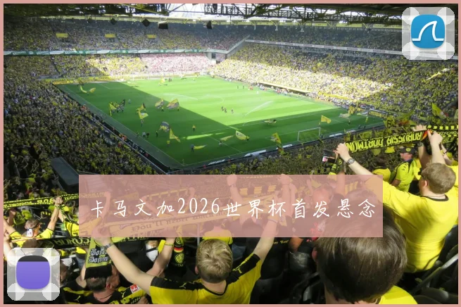 卡马文加2026世界杯首发悬念