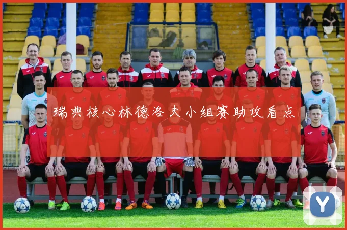 瑞典核心林德洛夫小组赛助攻看点