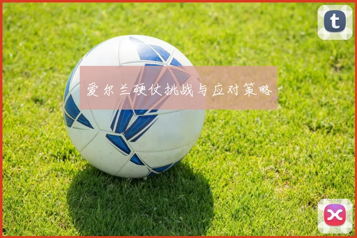 爱尔兰硬仗挑战与应对策略