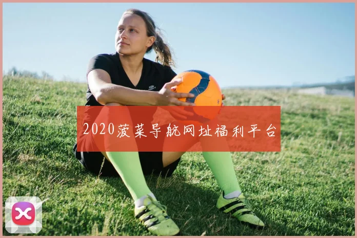 2020菠菜导航网址福利平台