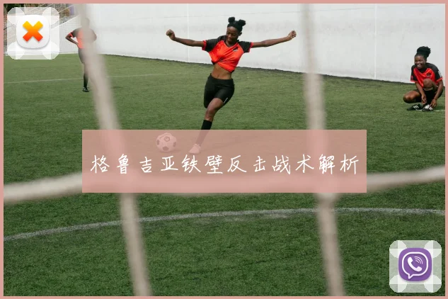 格鲁吉亚铁壁反击战术解析