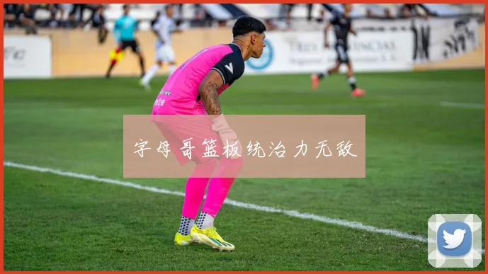 字母哥篮板统治力无敌