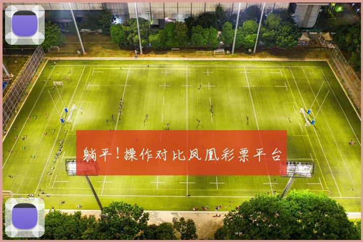躺平!操作对比凤凰彩票平台