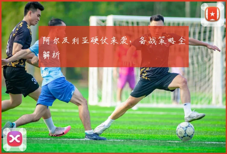 阿尔及利亚硬仗来袭，备战策略全解析