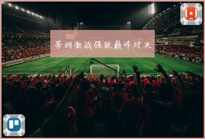 蒂姆激战强敌巅峰对决