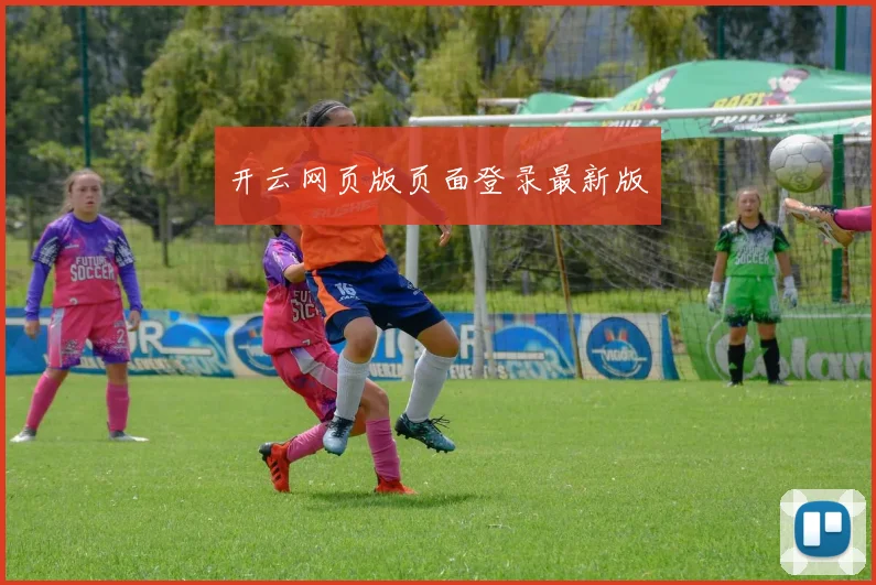 开云网页版页面登录最新版