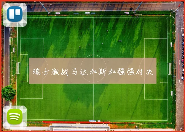瑞士激战马达加斯加强强对决