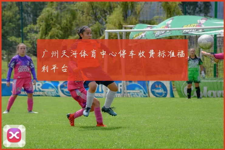 广州天河体育中心停车收费标准福利平台