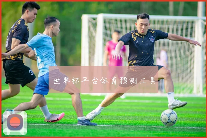 世界杯平台体育预测工具