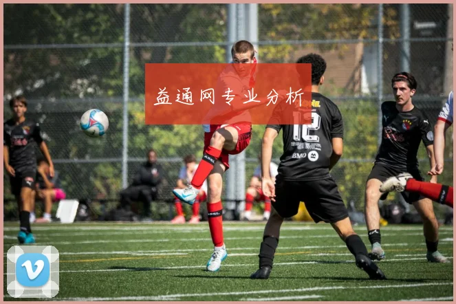 益通网专业分析
