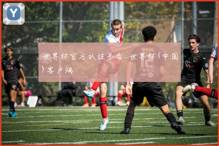 世界杯官方认证平台_世界杯(中国)客户端