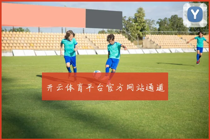 开云体育平台官方网站通道