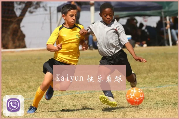 Kaiyun 快乐看球