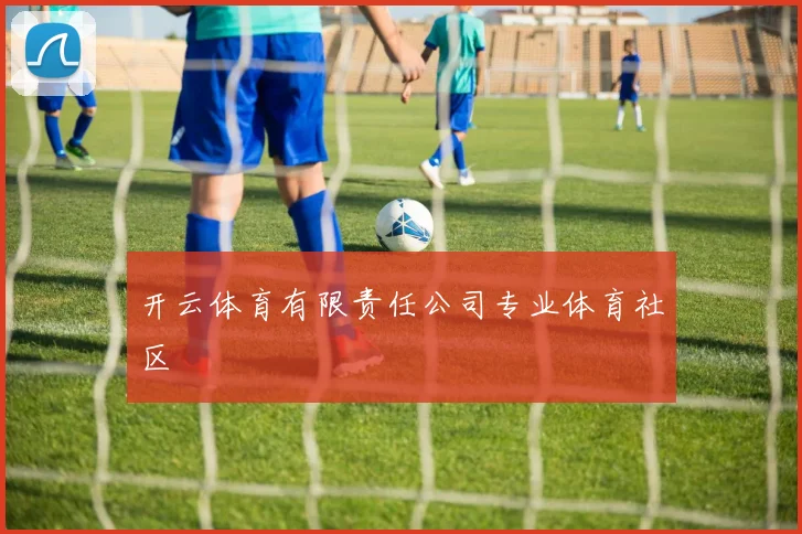 开云体育有限责任公司专业体育社区