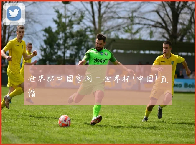 世界杯中国官网 - 世界杯(中国)直播