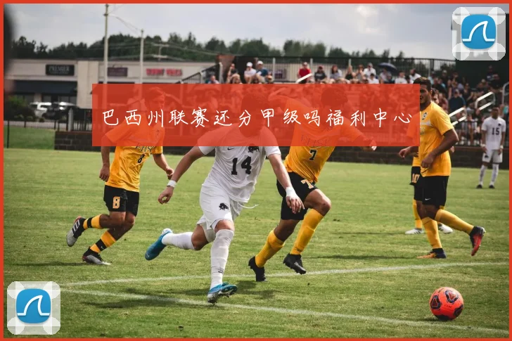 巴西州联赛还分甲级吗福利中心