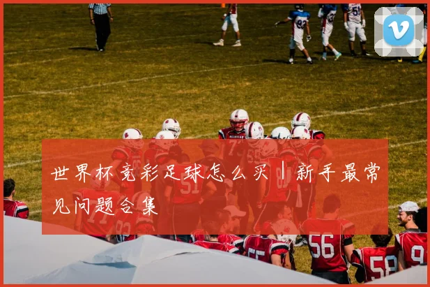 世界杯竞彩足球怎么买｜新手最常见问题合集