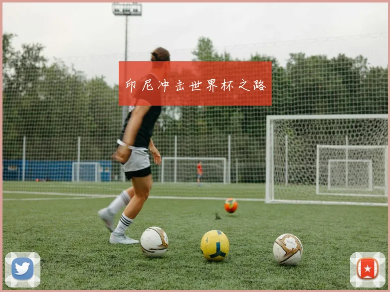 印尼冲击世界杯之路