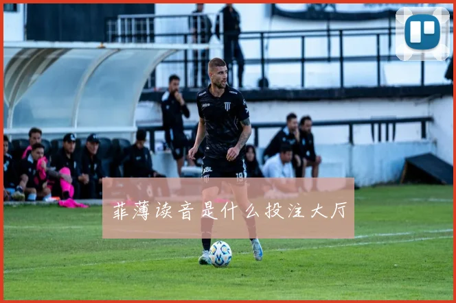 菲薄读音是什么投注大厅