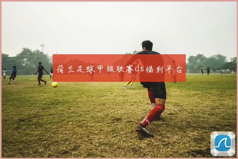 荷兰足球甲级联赛ds福利平台