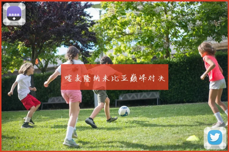 喀麦隆纳米比亚巅峰对决