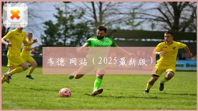 韦德 网站（2025最新版）
