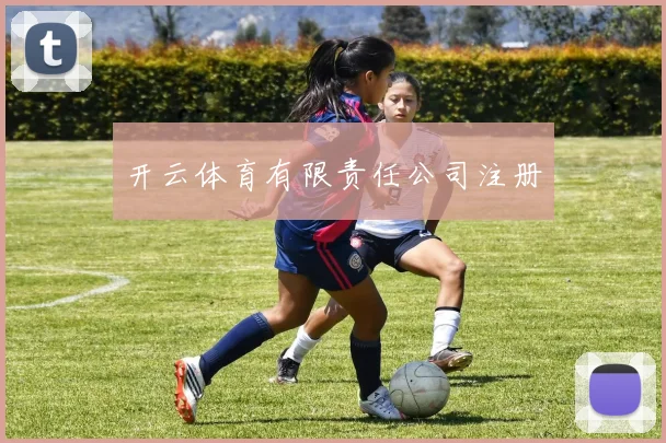 开云体育有限责任公司注册
