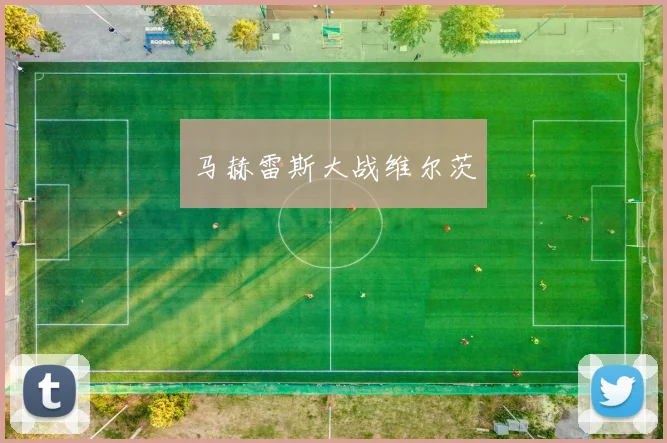 马赫雷斯大战维尔茨