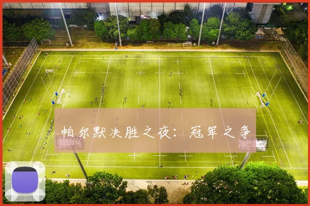帕尔默决胜之夜：冠军之争