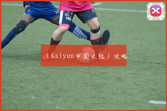 「Kaiyun中国大陆」攻略
