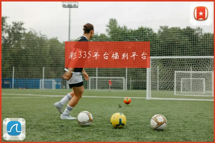 彩335平台福利平台