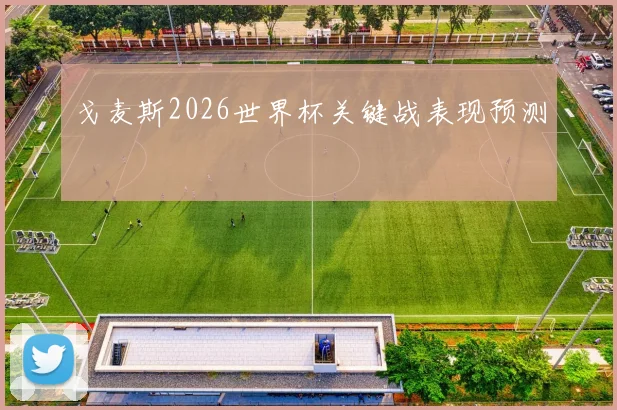 戈麦斯2026世界杯关键战表现预测