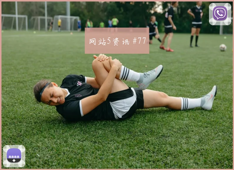 比利时vs埃及2026世界杯中卫组合