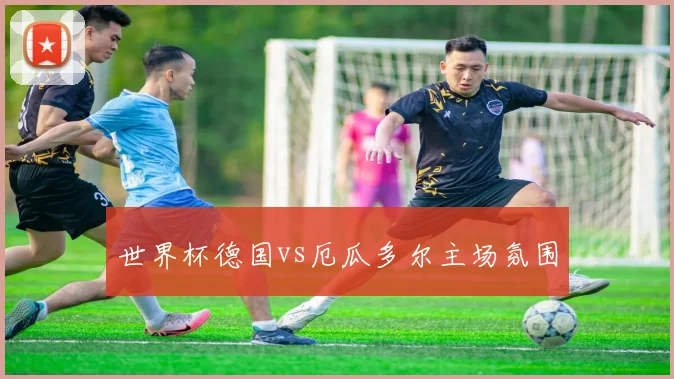 世界杯德国vs厄瓜多尔主场氛围