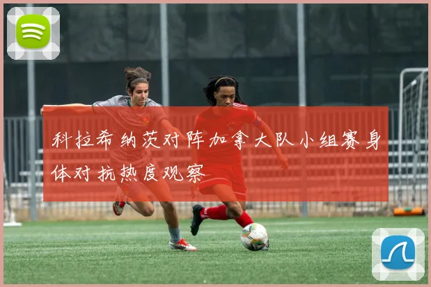 科拉希纳茨对阵加拿大队小组赛身体对抗热度观察